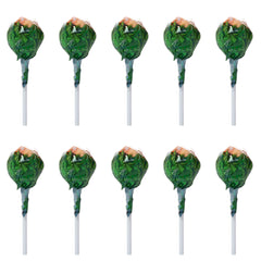 Purple Haze X Tangerine Dream Cannabis Lollipops By Dr Greenlove Amsterdam 10Pcs