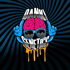 Pinkys Female Cannabis Seeds By Dank Genetics