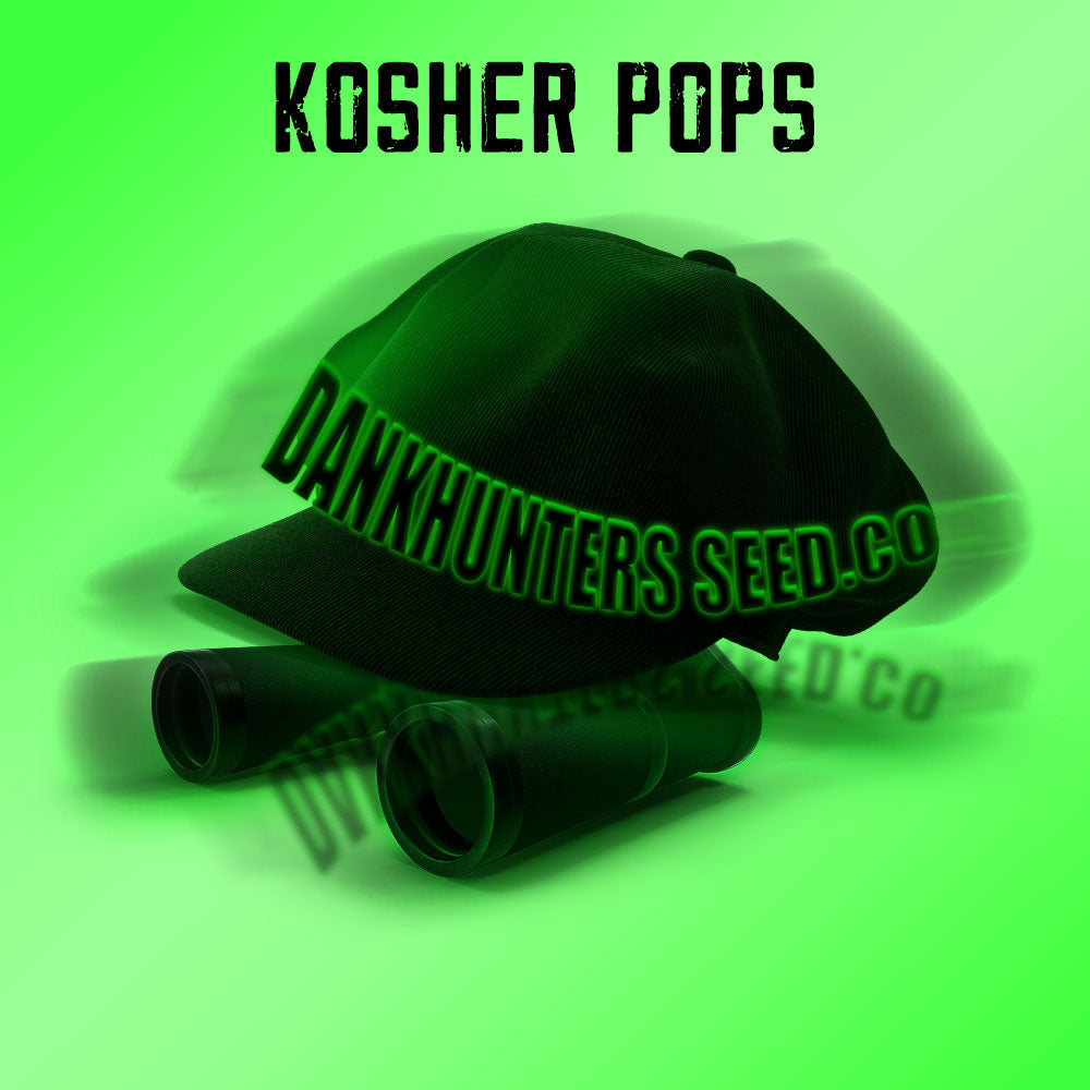 Kosher Pops Regular Cannabis Seeds By Dankhunters Seeds Co