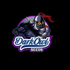 Marathon Og F4 Auto Cannabis Seeds By Dark Owl Seeds