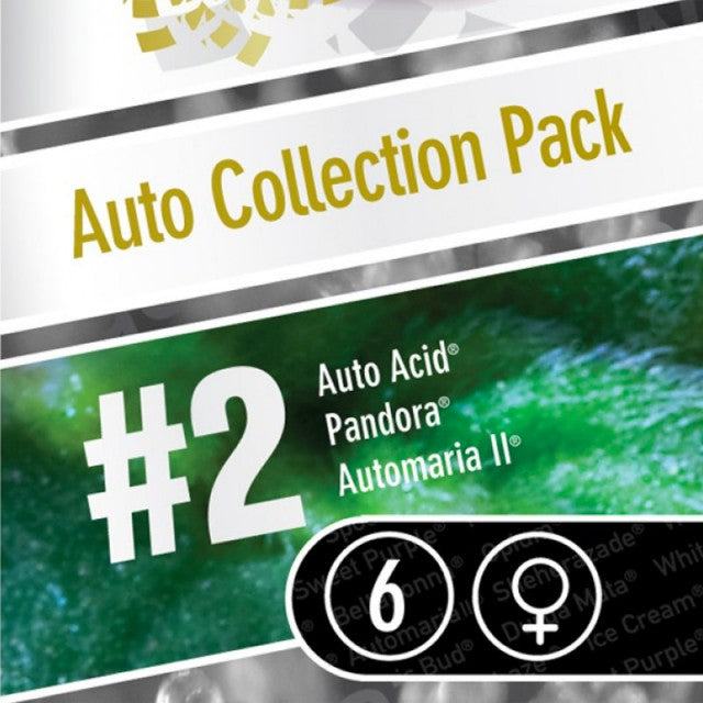 Auto Collection Pack 2 By Paradise Seeds