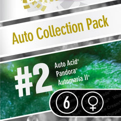 Auto Collection Pack 2 By Paradise Seeds