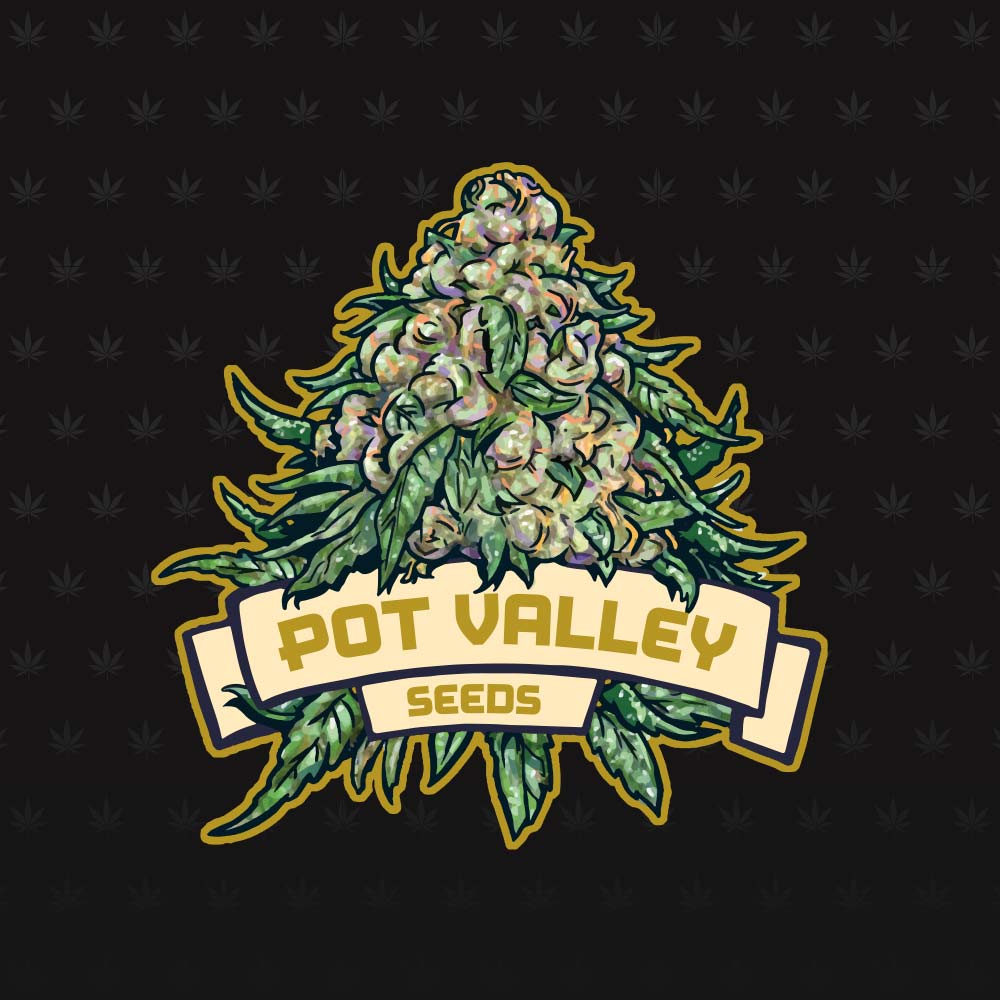 Icing On The Cake Regular Cannabis Seeds By Pot Valley Seeds