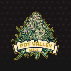 Icing On The Cake Regular Cannabis Seeds By Pot Valley Seeds