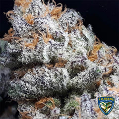 Purple Banana Cream Female Cannabis Seeds By T H Seeds